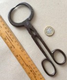 19th Century steel scissor Sugar cutters/nips