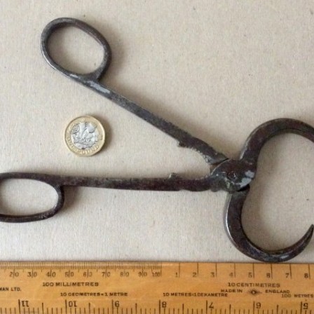 Detail: Antique 19th Century steel scissor action Sugar cutters. 